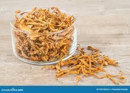 Женьшень отдыхает.