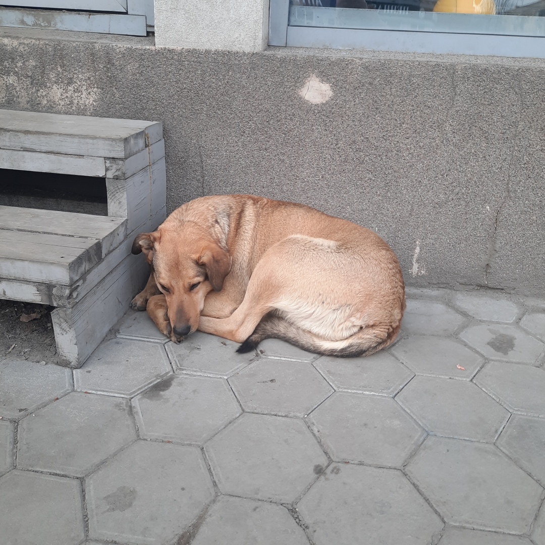 Бобок. Кутек. Мультифора или файл. Необычные слова харакетрные для определнных регионов.