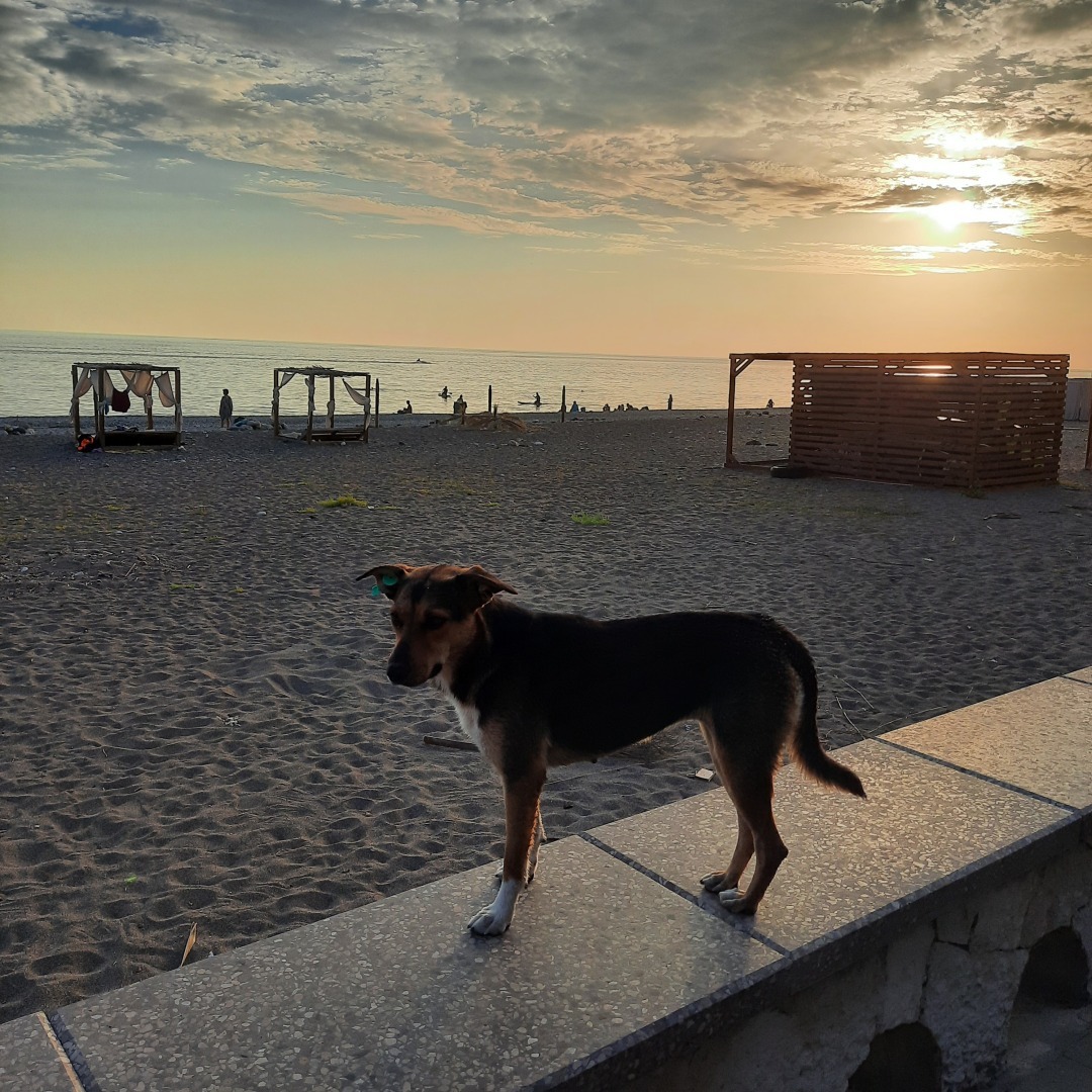 Бобок. Кутек. Мультифора или файл. Необычные слова харакетрные для определнных регионов.