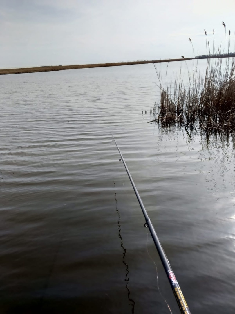 Любовь к рыбалке мне привил мой отец еще в детстве, а ловить рыбу я люблю и сейчас мой первый улов в этом 2024 году. Наконец-то вырвался!