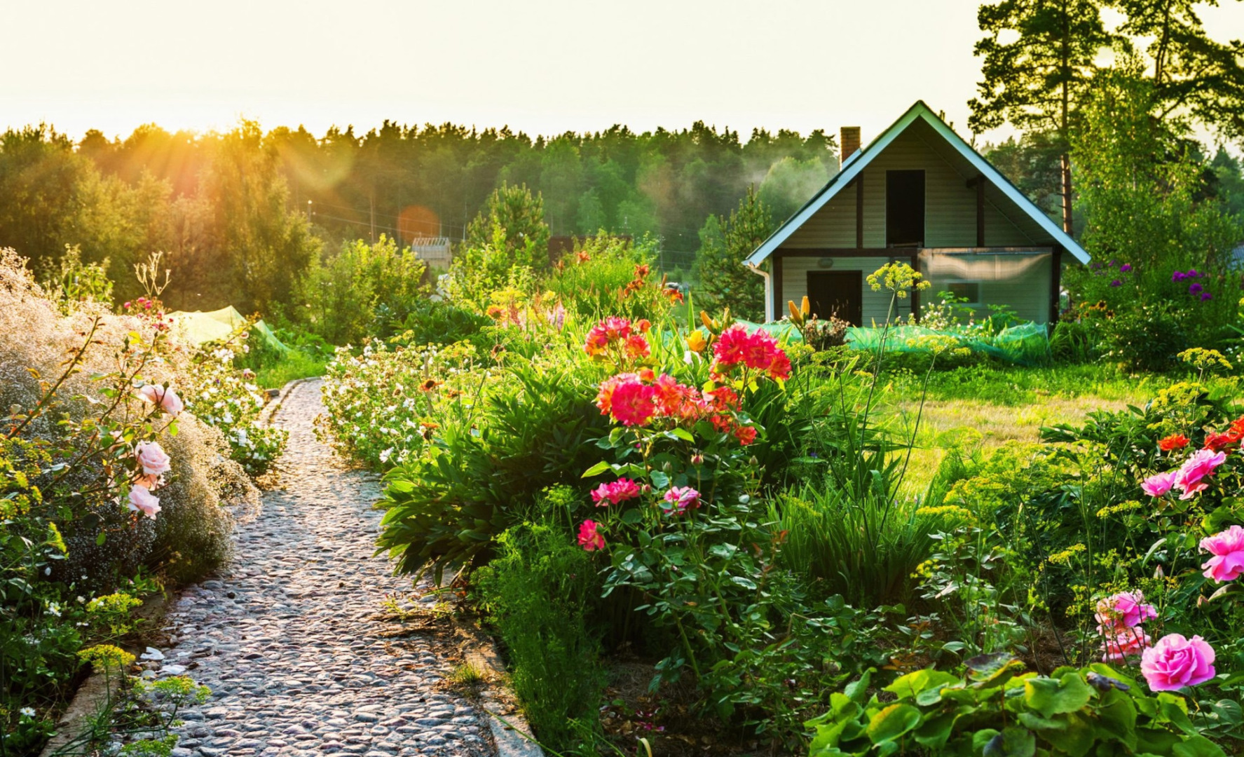 Время для зелени: Агроном дает советы по рассаде и подготовке картофеля