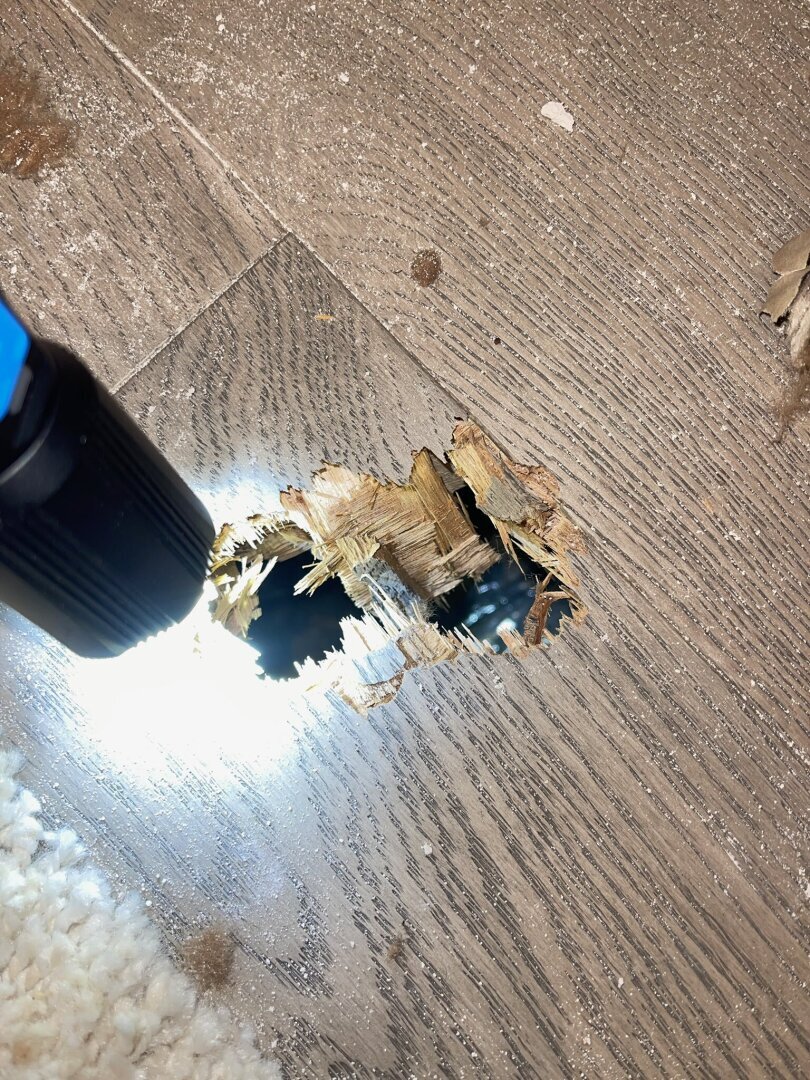 Тайна Небес: как космический мусор с МКС проник в дом во Флориде