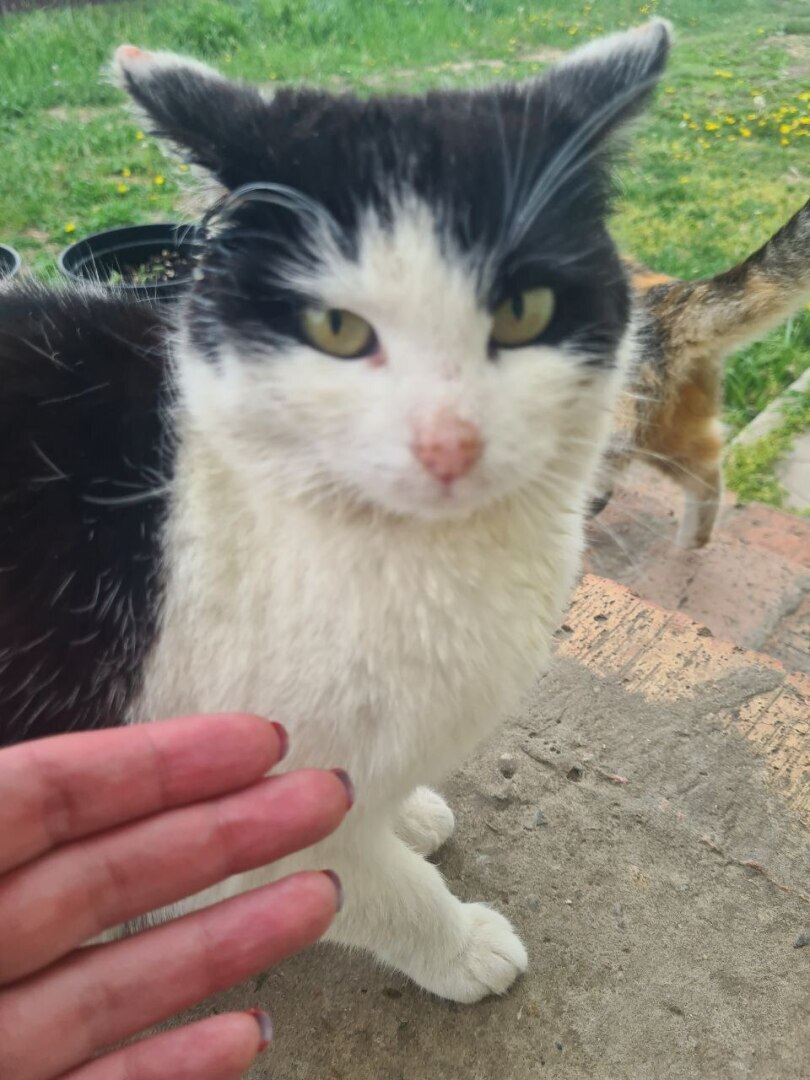 Четвертый день обучения