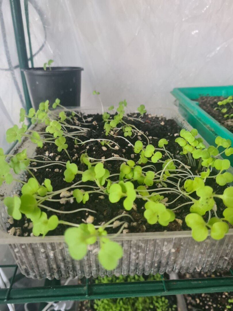 Четвертый день обучения