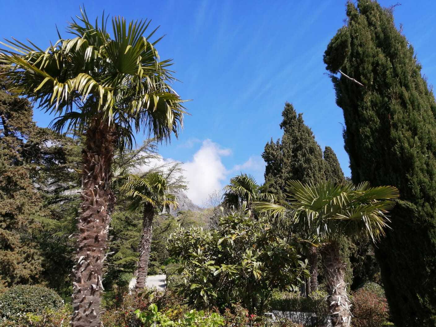 🌞🌞🌞Путешествие в прошлое. Поездка в Крым, которая навевает хорошие воспоминания🌞🌞🌞