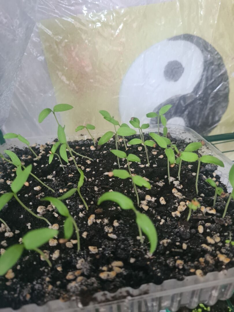 Четвертый день обучения