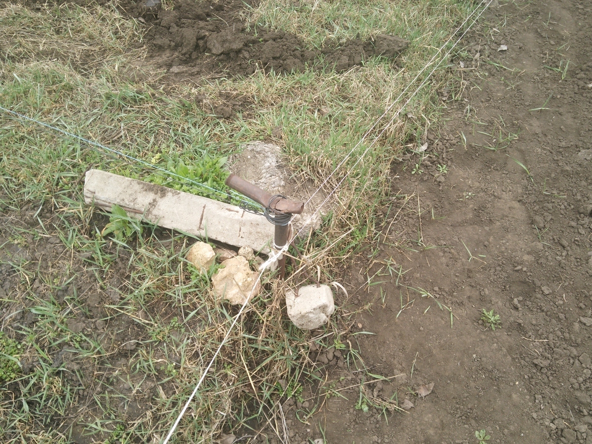 Что бы Вы сделали, если бы Ваш новый сосед, вбил колышки в Вашем огороде, вместе с кадастровым инженером? Как я понял, он хочет захватить от нашего...