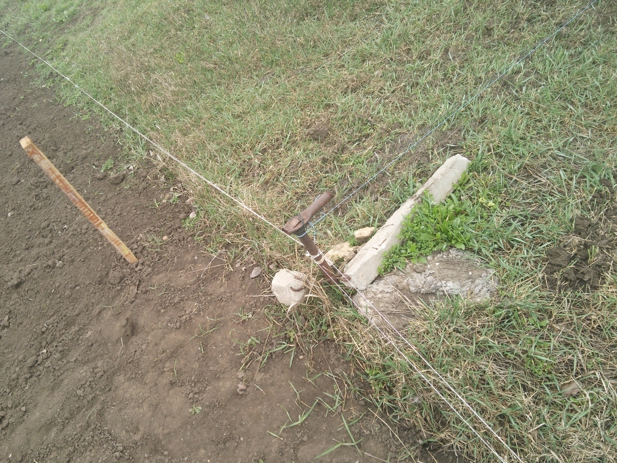 Что бы Вы сделали, если бы Ваш новый сосед, вбил колышки в Вашем огороде, вместе с кадастровым инженером? Как я понял, он хочет захватить от нашего...