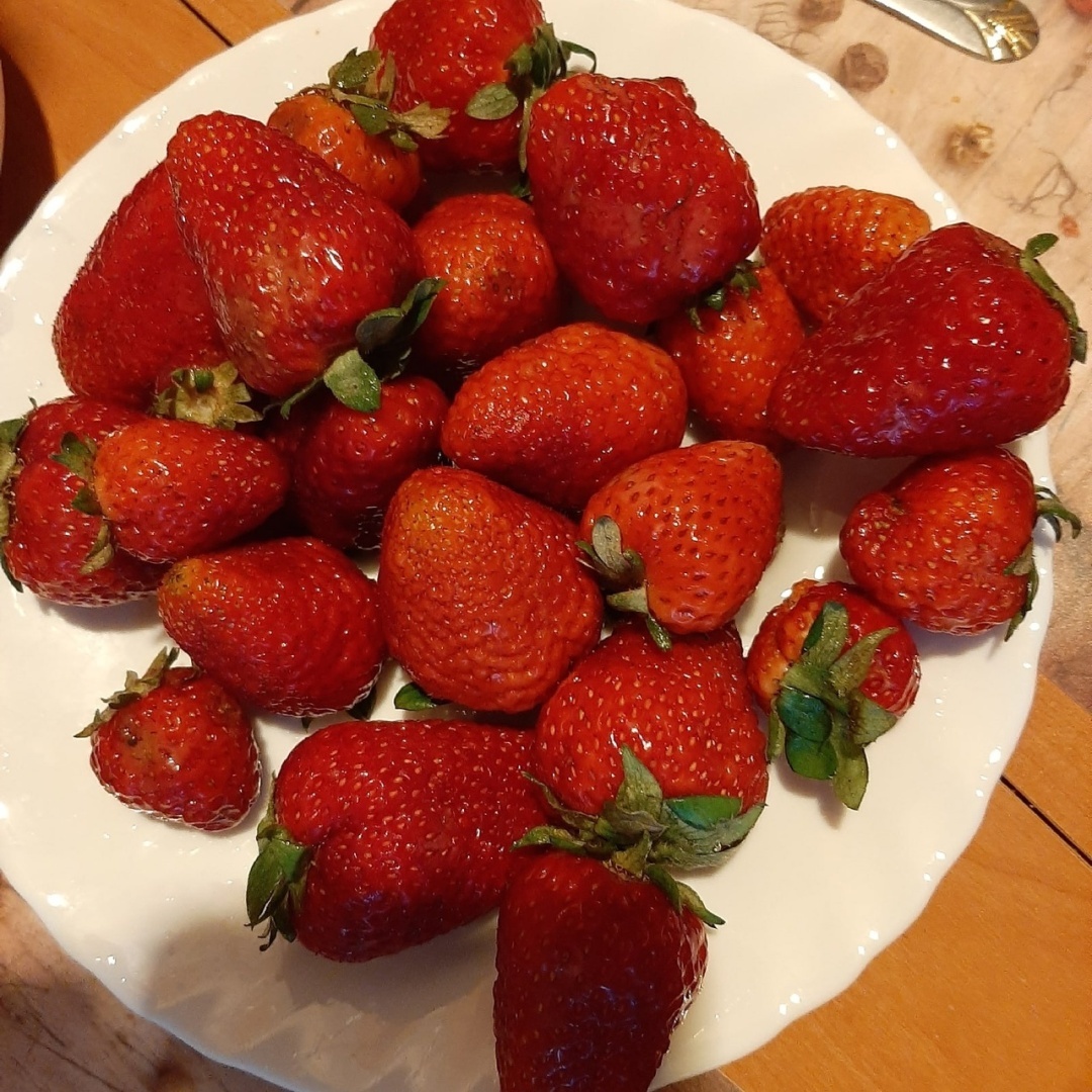 Что можно вырастить на своем земельном участке: красота и польза. Мой личный опыт.