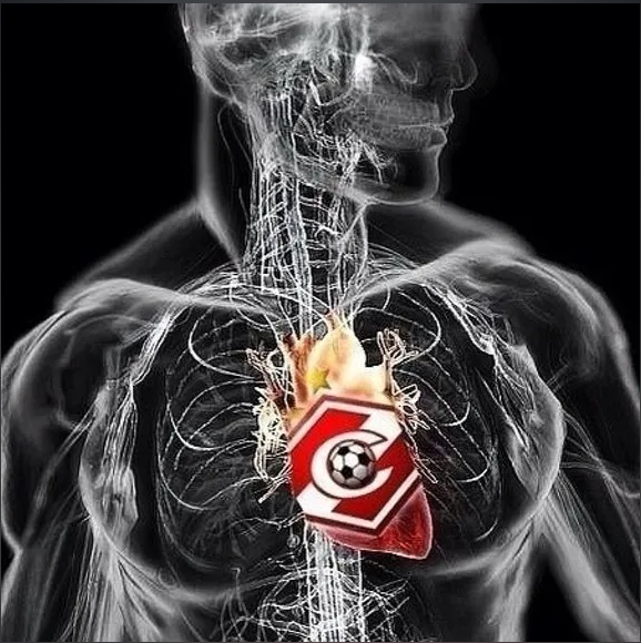 Моя 1044-ая статья. Немного о себе...