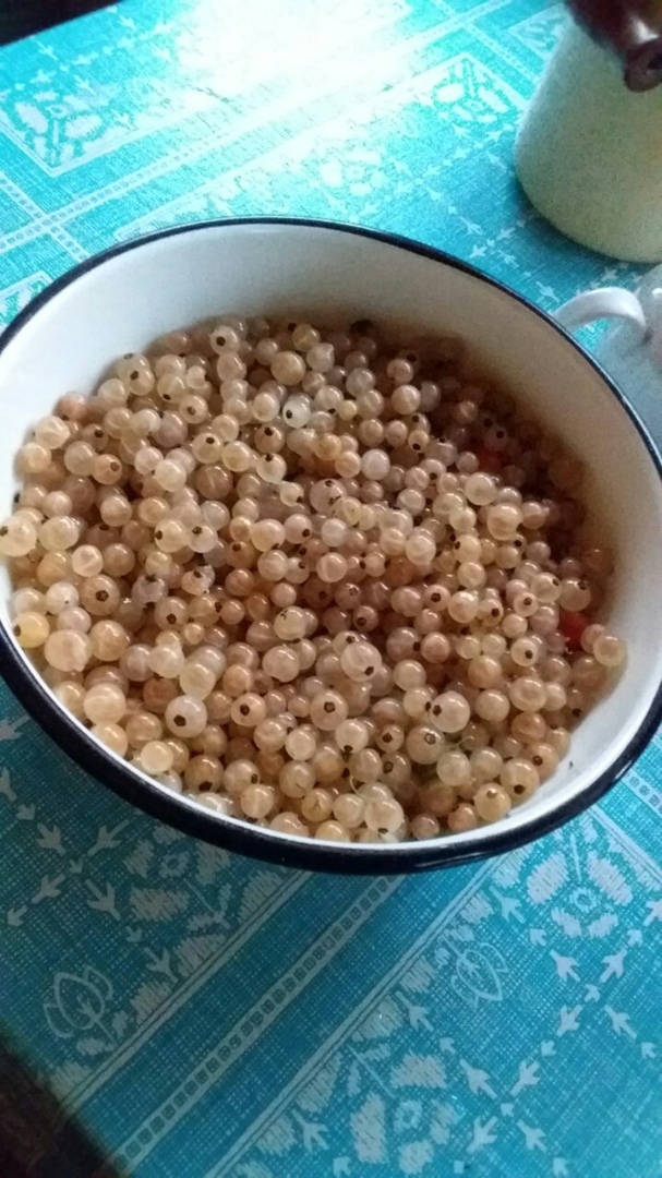 Что можно вырастить на своем земельном участке: красота и польза. Мой личный опыт.