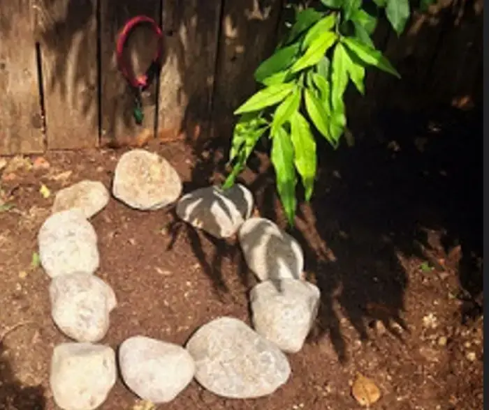 Новорожденная девочка была похоронена заживо, но чудом выжила