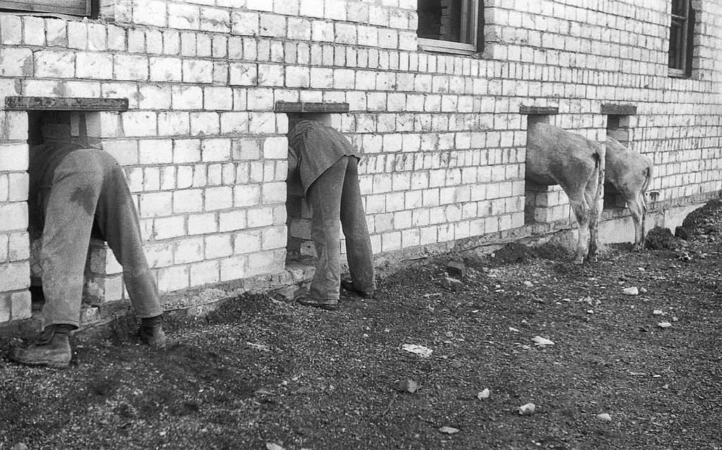 Чтобы это значило ? Ваш комментарий к этому фото!!! Пересмотр "вокруг смеха" и наследие Александра Иванова