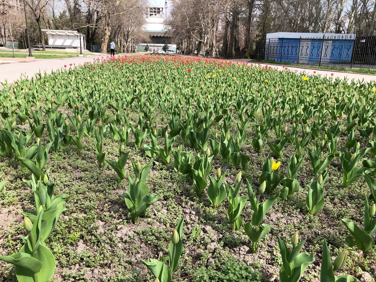 Наше путешествие по Средней Азии закончилось, а теперь итоги: материальные, моральные и эмоциональные