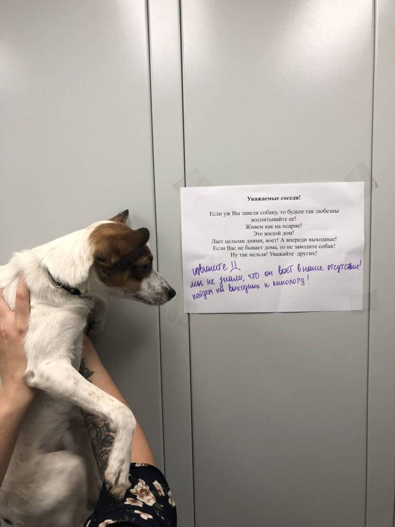 Как добиться через суд, чтобы сосед перестал держать у себя собак