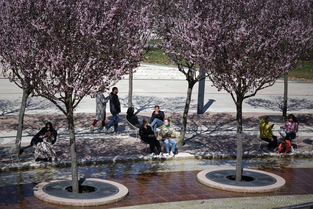 Рыльце в пыльцу: когда в Москве ожидается пик цветения