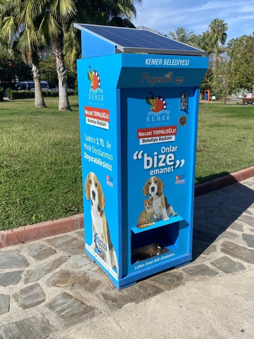 Турция - настоящий рай для собак и кошек!