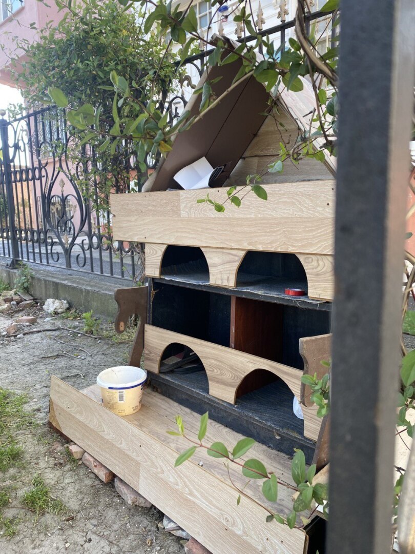 Турция - настоящий рай для собак и кошек!