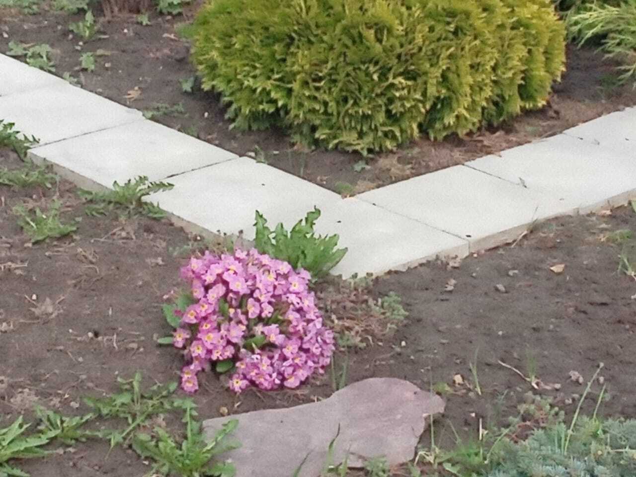 Затронуты ли святые источники Серафимо-Дивеевского Монастыря паводковыми водами ❓ Мои впечатления от поездки в Дивеево❗