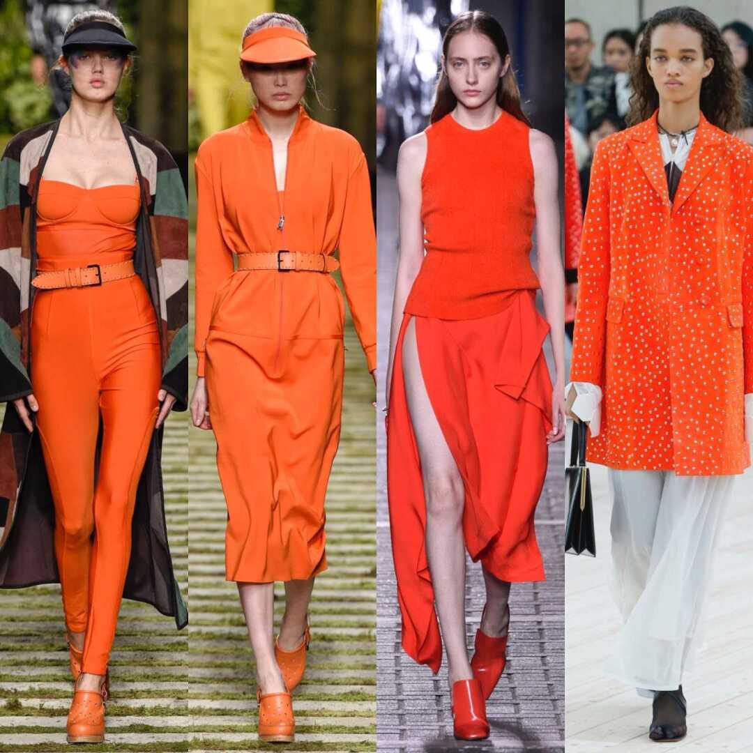 Оттенки Весны 2024: Вдохновение из Трендовых Цветов