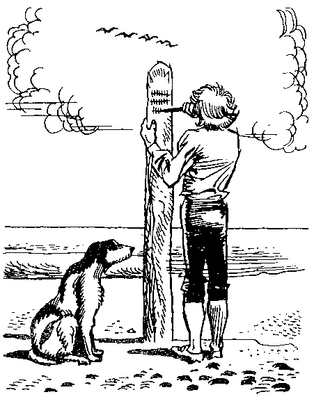 Как можно выжить на необитаемом острове одному? Часть 2