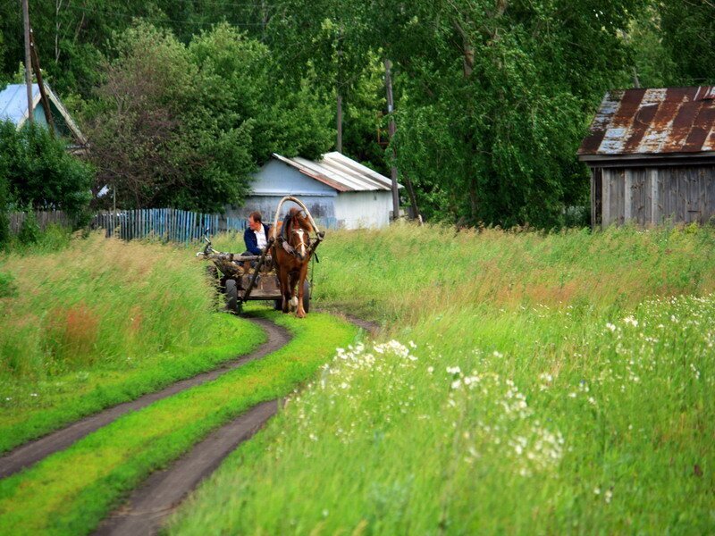 Лето в деревне. Современная деревня. Жизнь в деревне. Дорога в деревне.