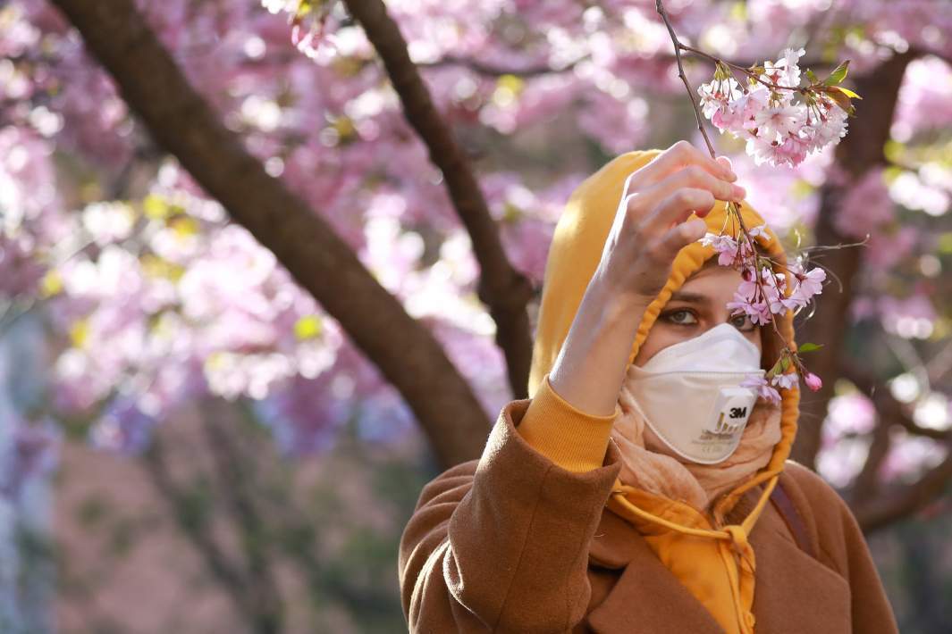 Рыльце в пыльцу: когда в Москве ожидается пик цветения