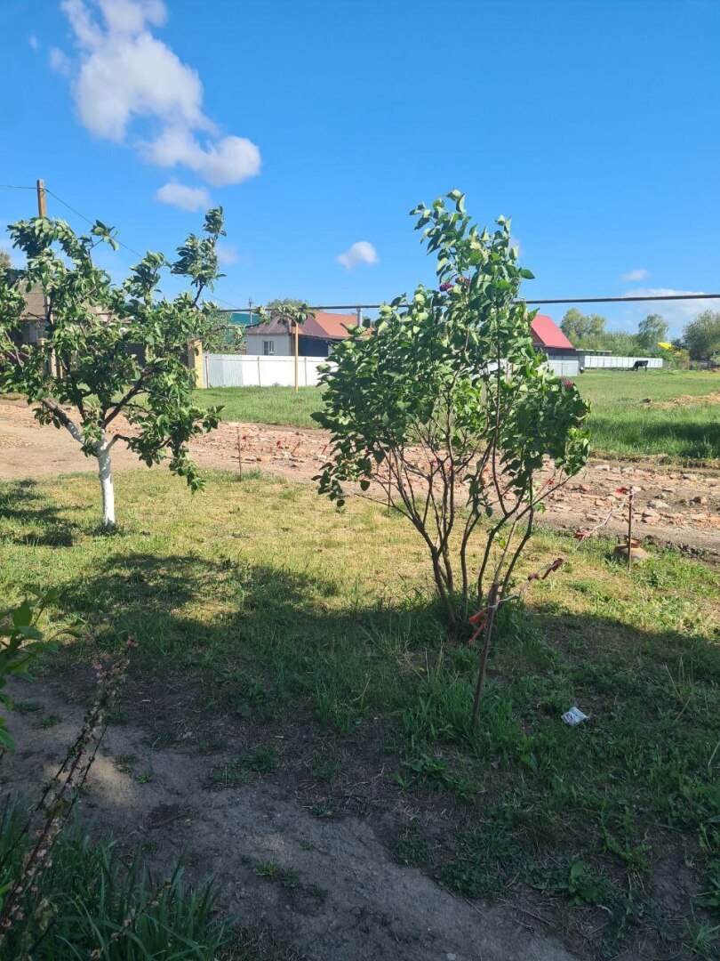 Нашла онлайн-подработку и радуюсь приезду губернатора Кубани