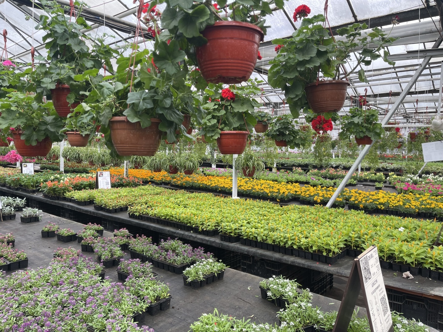 Юристы не только ходят в суд и готовят документы: вчера муж пригласил меня на свидание в необычное место. Фото