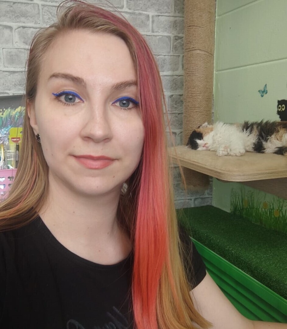 Открыли котокафе. Кафе для тех, кто очень любит котиков. Кототерапия в чистом виде