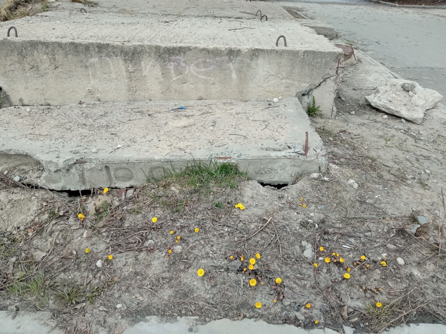 Продолжение моей автобиографической повести - 9