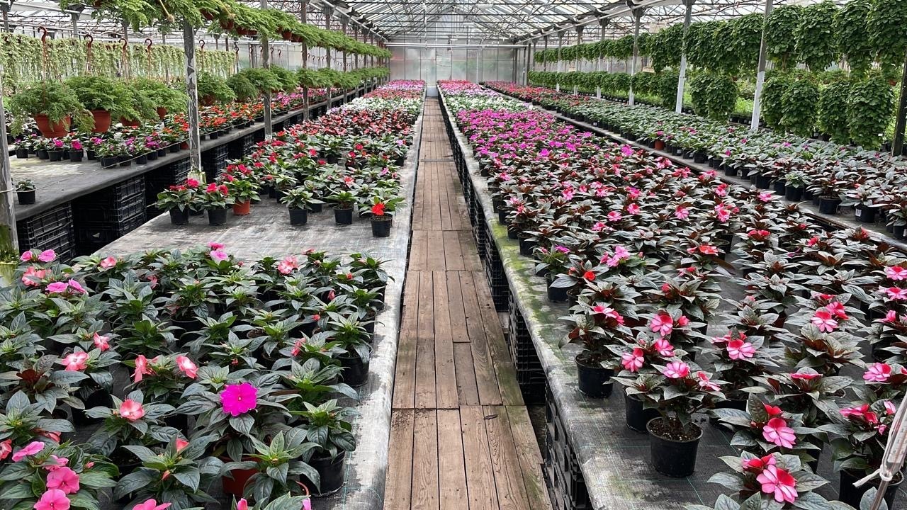 Юристы не только ходят в суд и готовят документы: вчера муж пригласил меня на свидание в необычное место. Фото