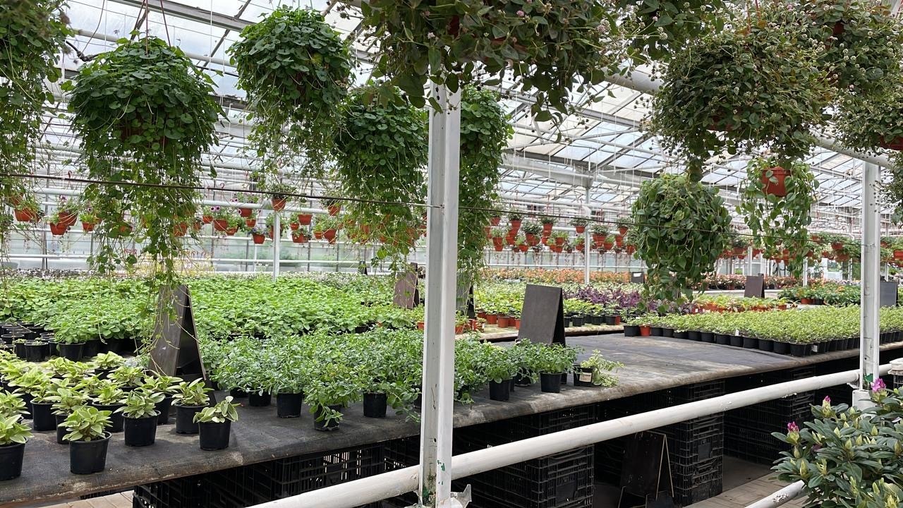 Юристы не только ходят в суд и готовят документы: вчера муж пригласил меня на свидание в необычное место. Фото