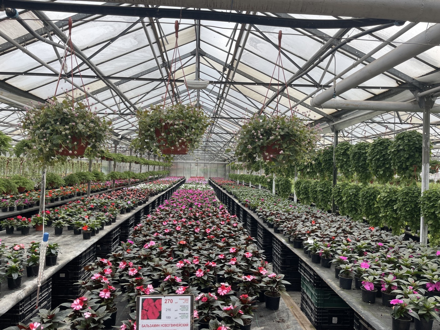 Юристы не только ходят в суд и готовят документы: вчера муж пригласил меня на свидание в необычное место. Фото