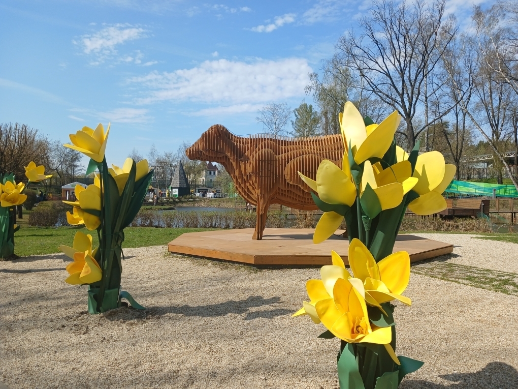 Бесплатный шашлык и чай с вкусняшками