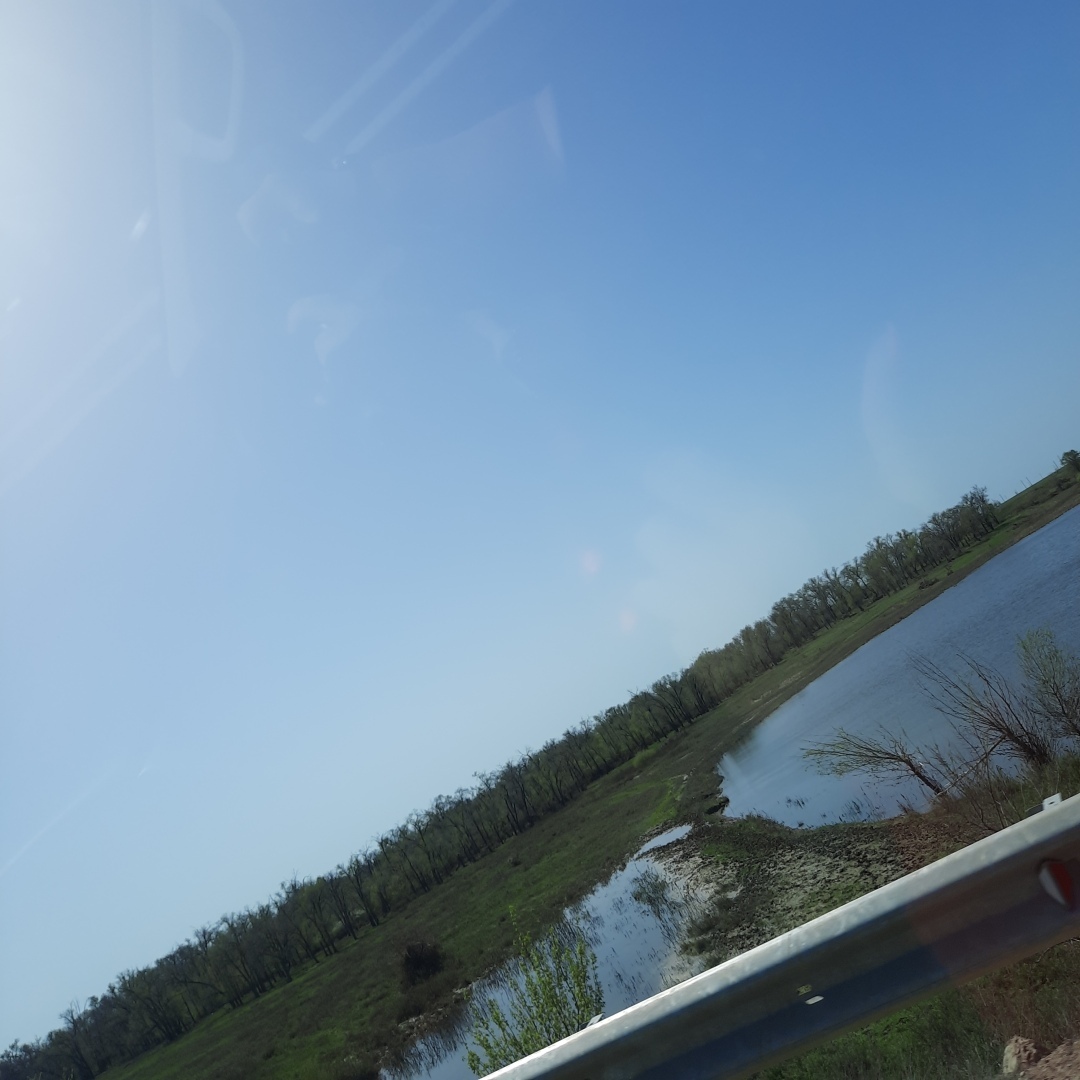 На встречу - к прекрасному. В гостях у тюльпанов. История одного апрельского дня.