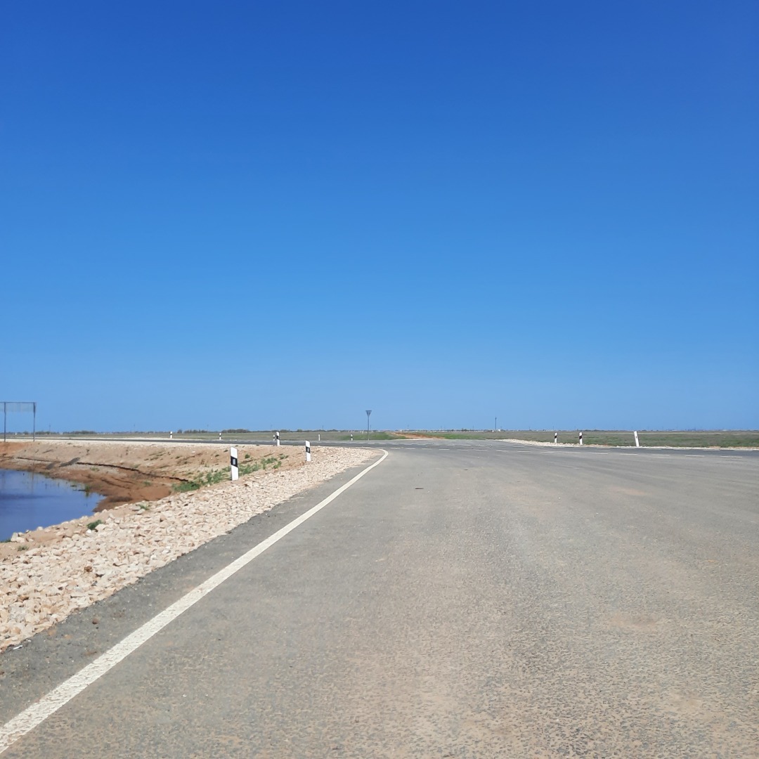На встречу - к прекрасному. В гостях у тюльпанов. История одного апрельского дня.