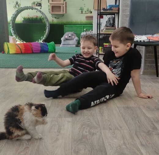 Открыли котокафе. Кафе для тех, кто очень любит котиков. Кототерапия в чистом виде