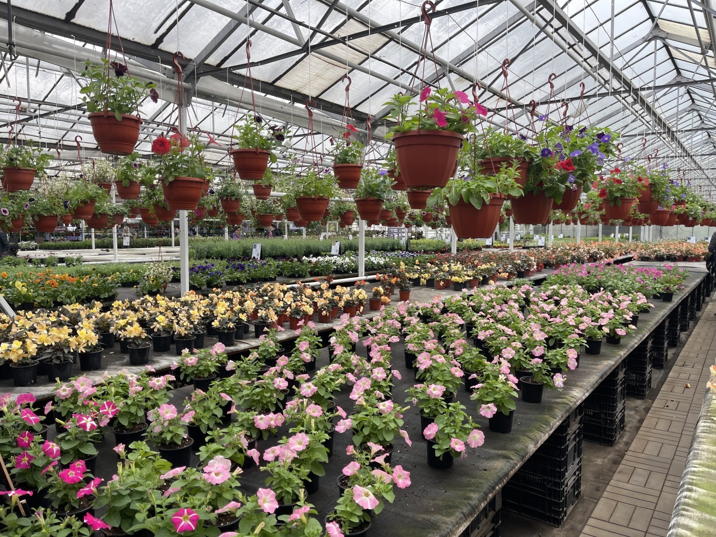 Юристы не только ходят в суд и готовят документы: вчера муж пригласил меня на свидание в необычное место. Фото