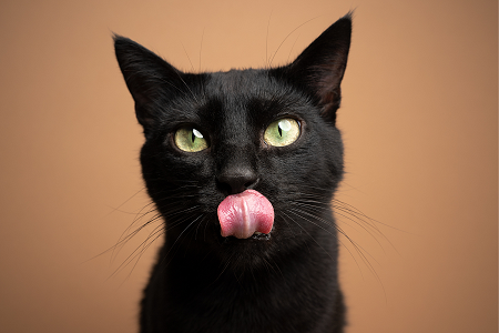 Не обижать никого - это важнее всего