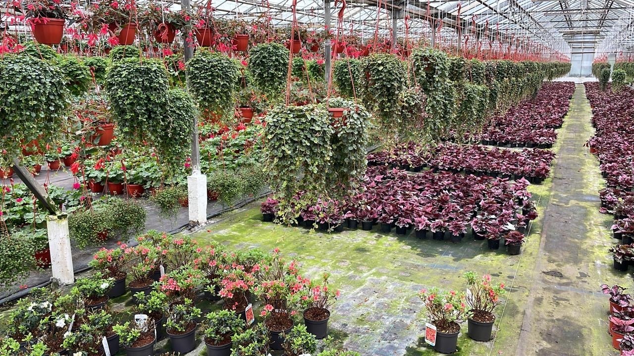 Юристы не только ходят в суд и готовят документы: вчера муж пригласил меня на свидание в необычное место. Фото