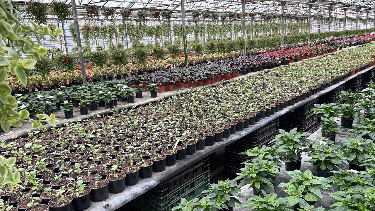 Юристы не только ходят в суд и готовят документы: вчера муж пригласил меня на свидание в необычное место. Фото