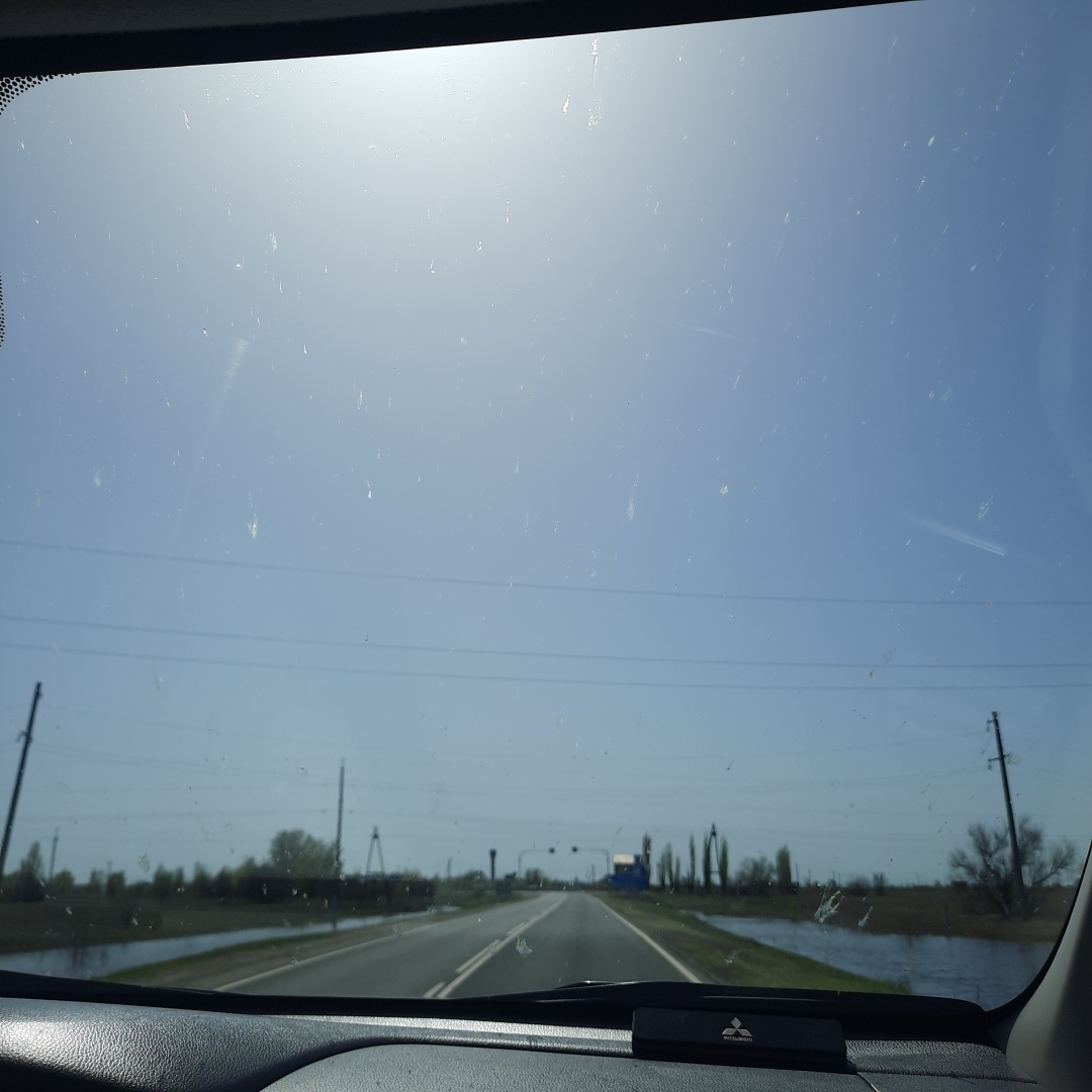 На встречу - к прекрасному. В гостях у тюльпанов. История одного апрельского дня.