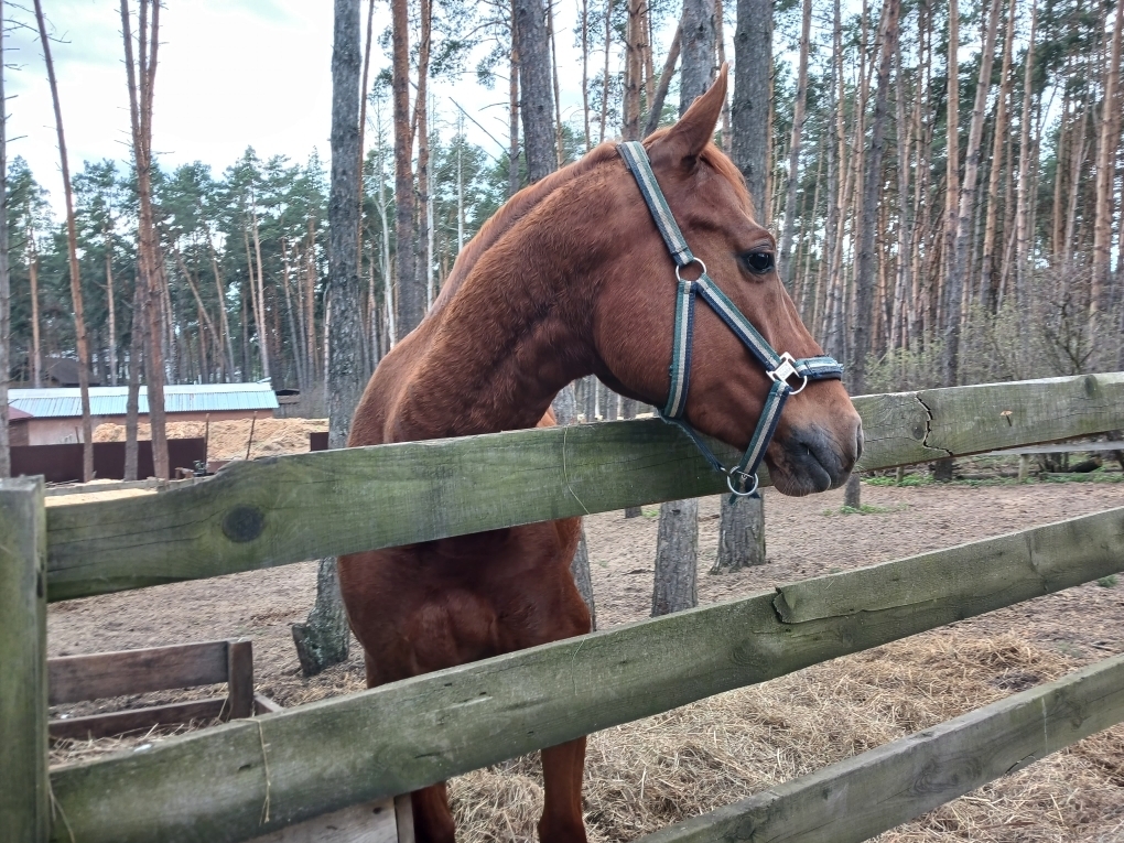 Забыться на природе