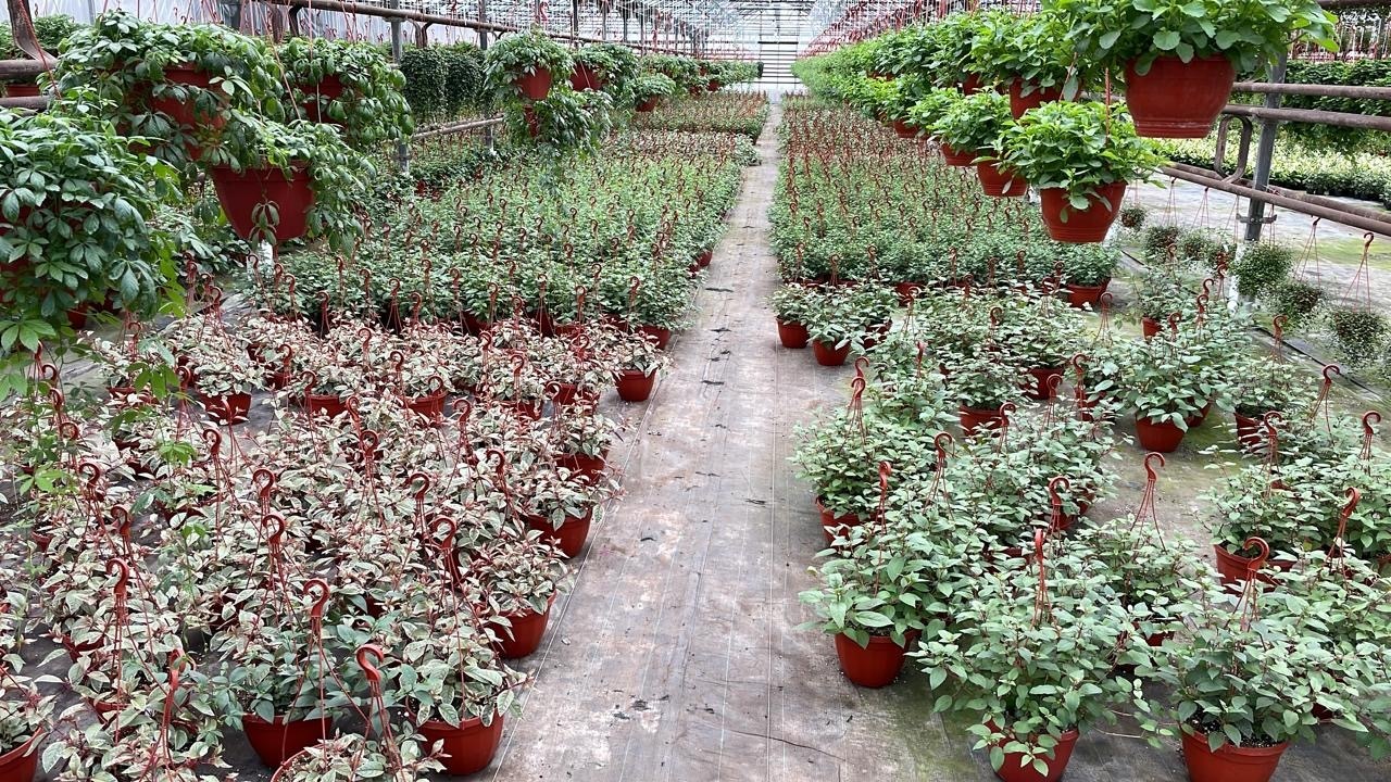 Юристы не только ходят в суд и готовят документы: вчера муж пригласил меня на свидание в необычное место. Фото