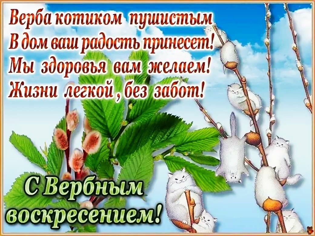 Открытие с Вербным воскресеньем. С Вербным воскресеньем открытки. Поздравление с Вербным воскресеньем. Открытки с верным воскресенье.