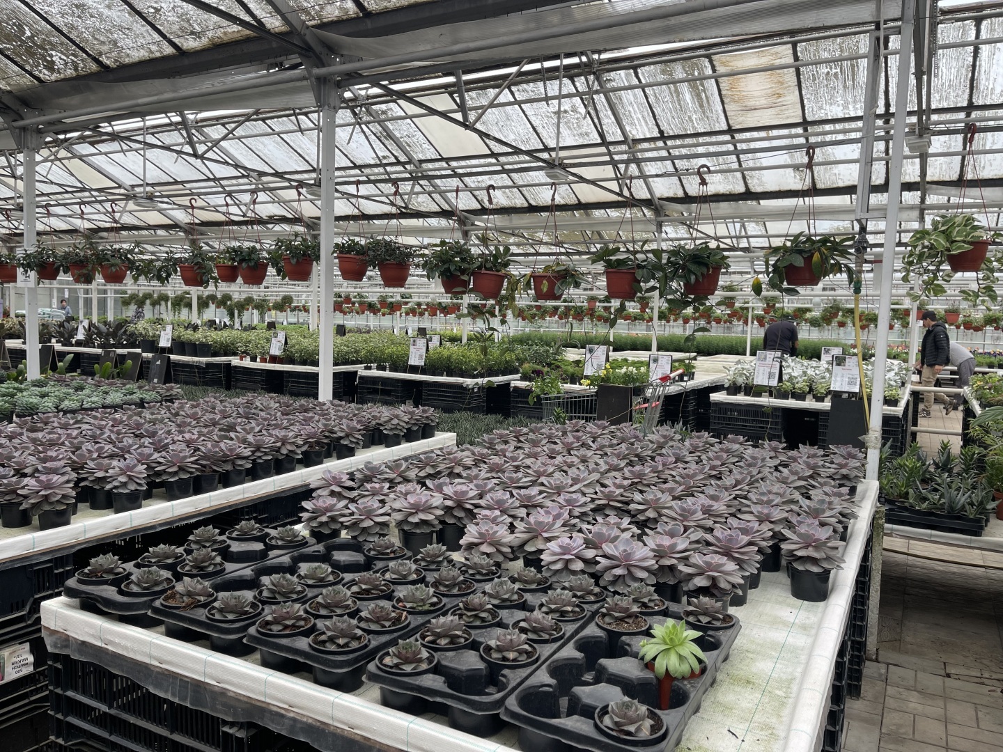 Юристы не только ходят в суд и готовят документы: вчера муж пригласил меня на свидание в необычное место. Фото