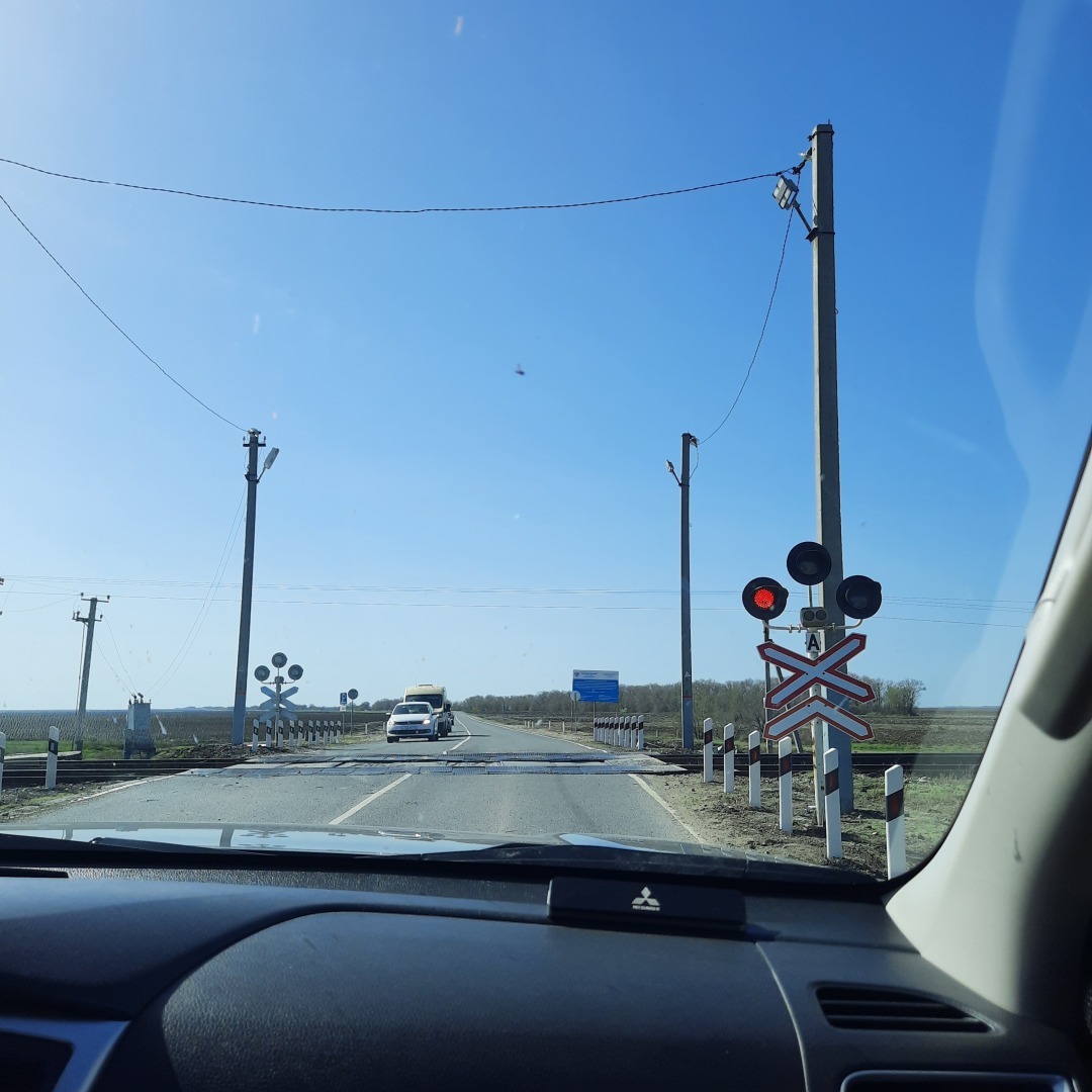 На встречу - к прекрасному. В гостях у тюльпанов. История одного апрельского дня.