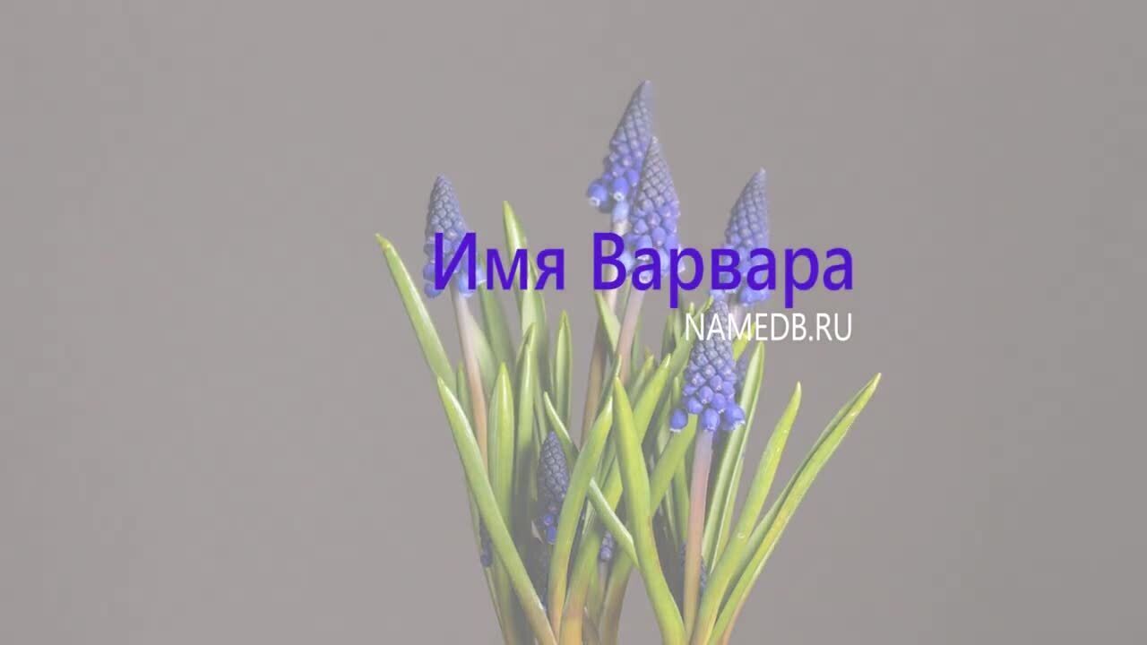 Значение имени Варвара | Нина Сергеевна, 22 апреля 2024