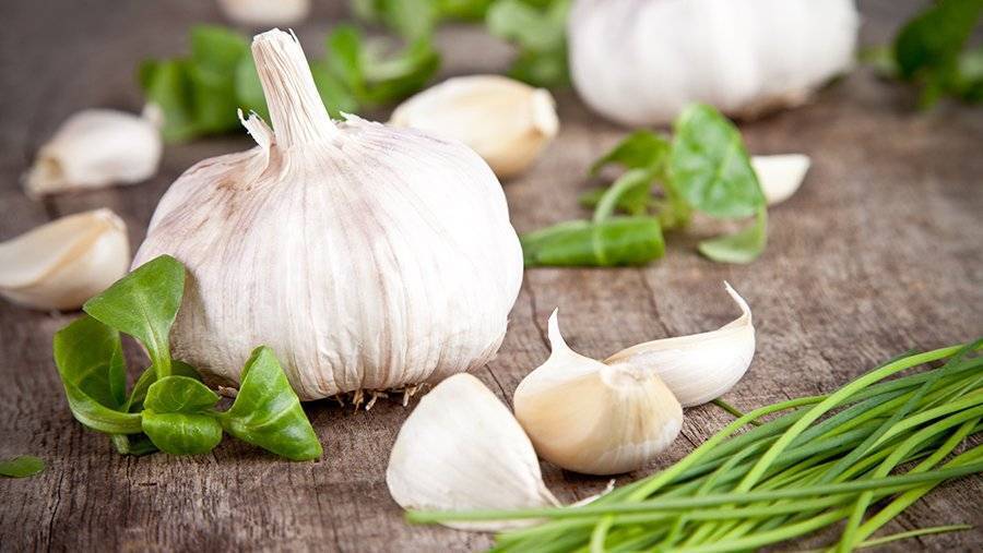 Вреден ли сырой чеснок? Свойства и побочные эффекты чеснока!
